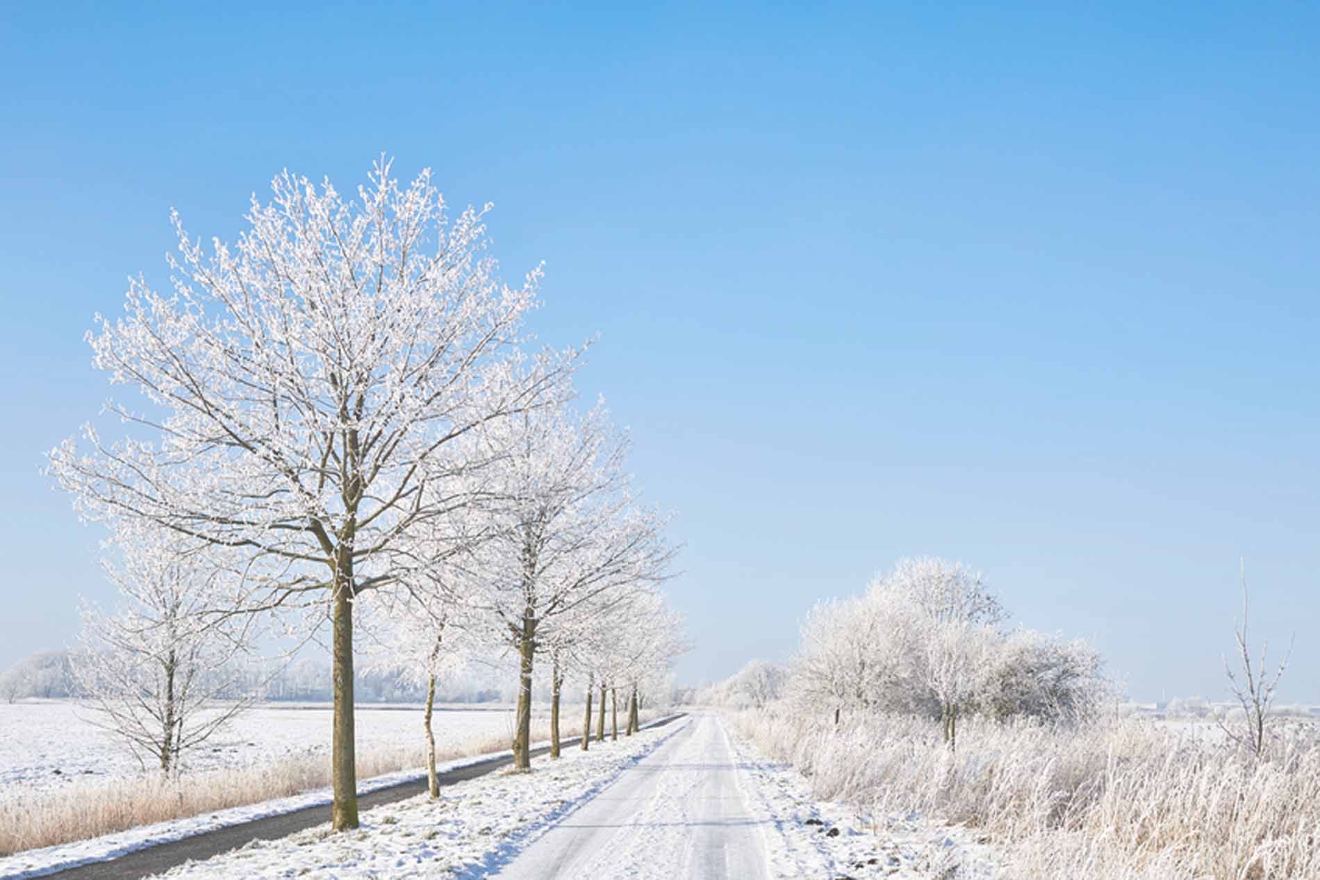 Evolution Prix du Fioul - Tendance Prix Fioul en France