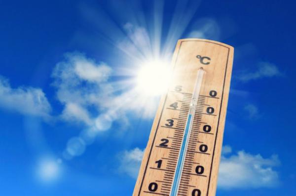 canicule été conseils chaleur