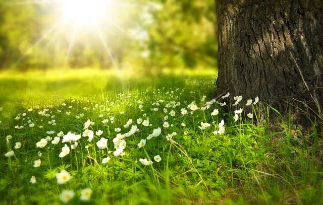 Comment économiser de l'énergie au printemps